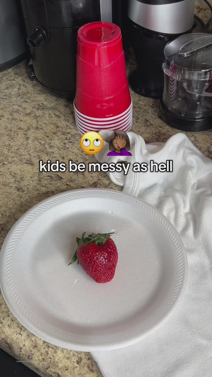 Instant Stain Rescue Spray